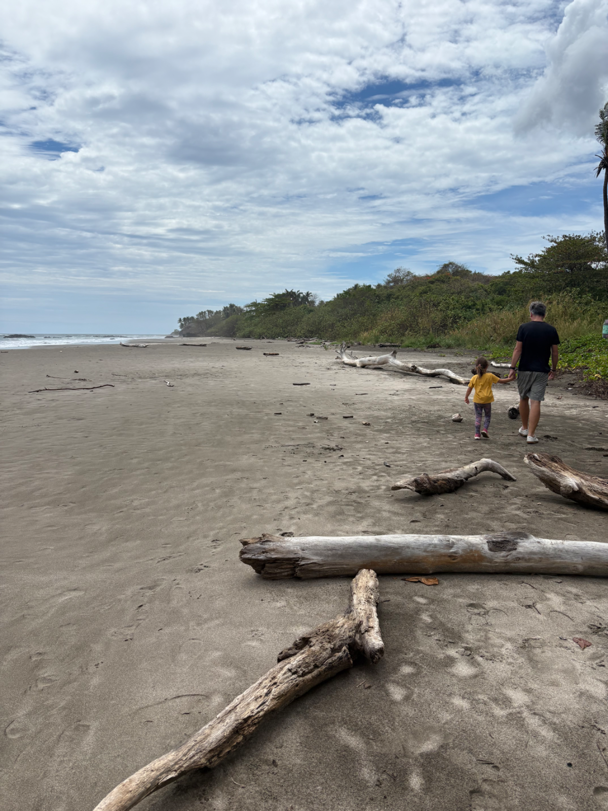 A dad and his young daughter walking hand in hand along a wild, driftwood-strewn Pacific beach