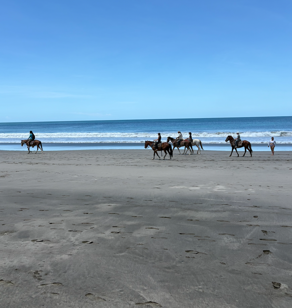 Riding horses along the surf line on a wide, empty Pacific beach under a bright blue sky
