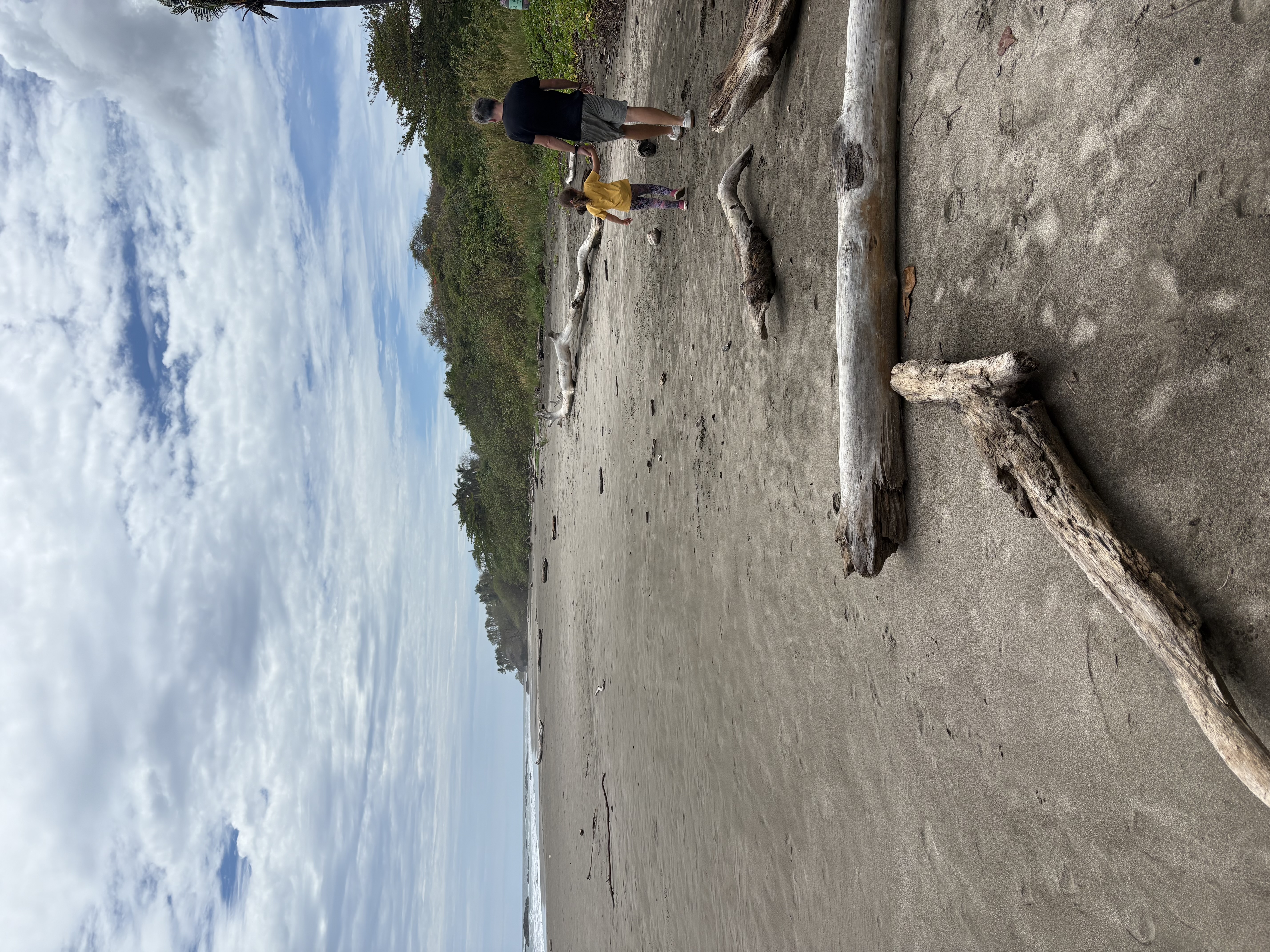 A father and daughter walking the driftwood-strewn sand of a quiet Pacific beach